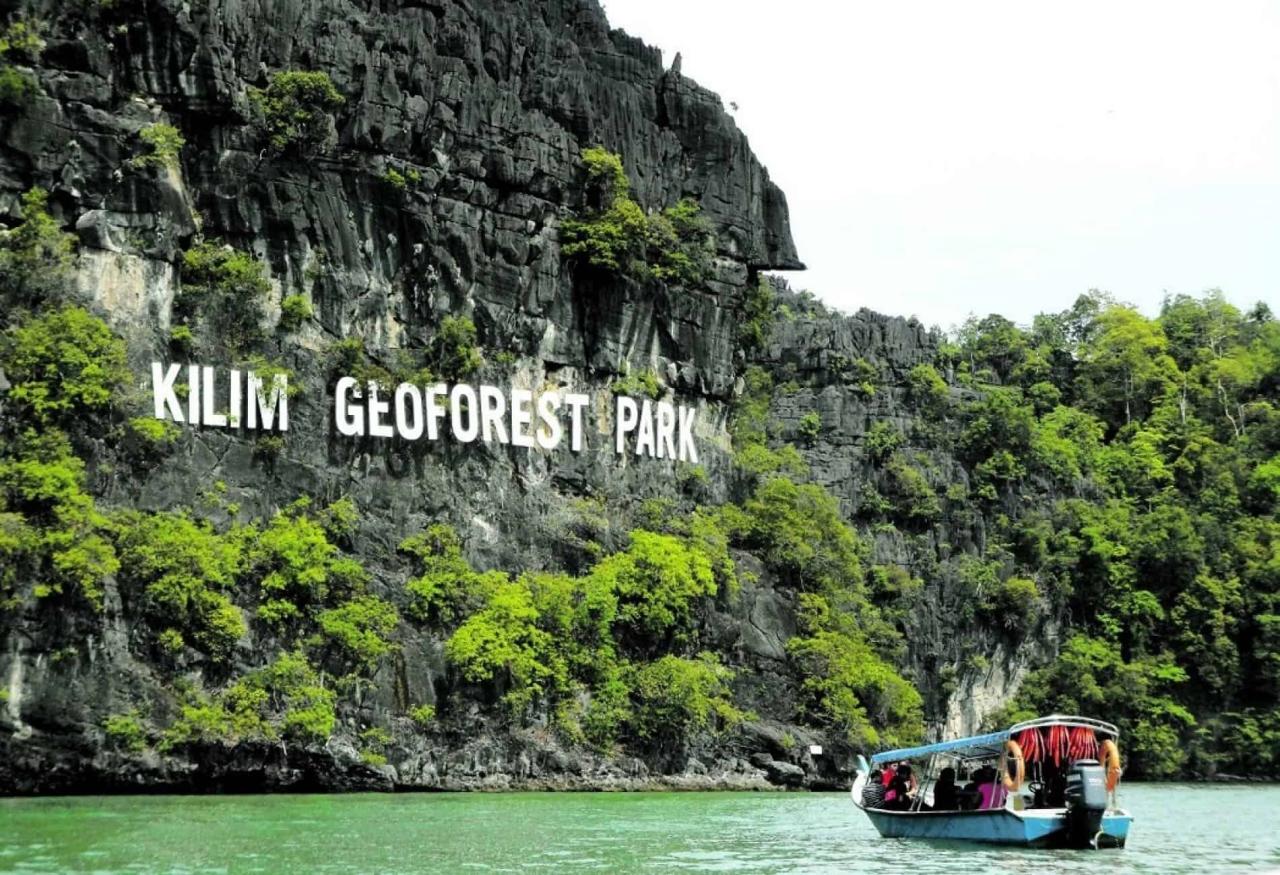 Mangrove Tour Langkawi: Eksplorasi Hutan Bakau yang Menakjubkan